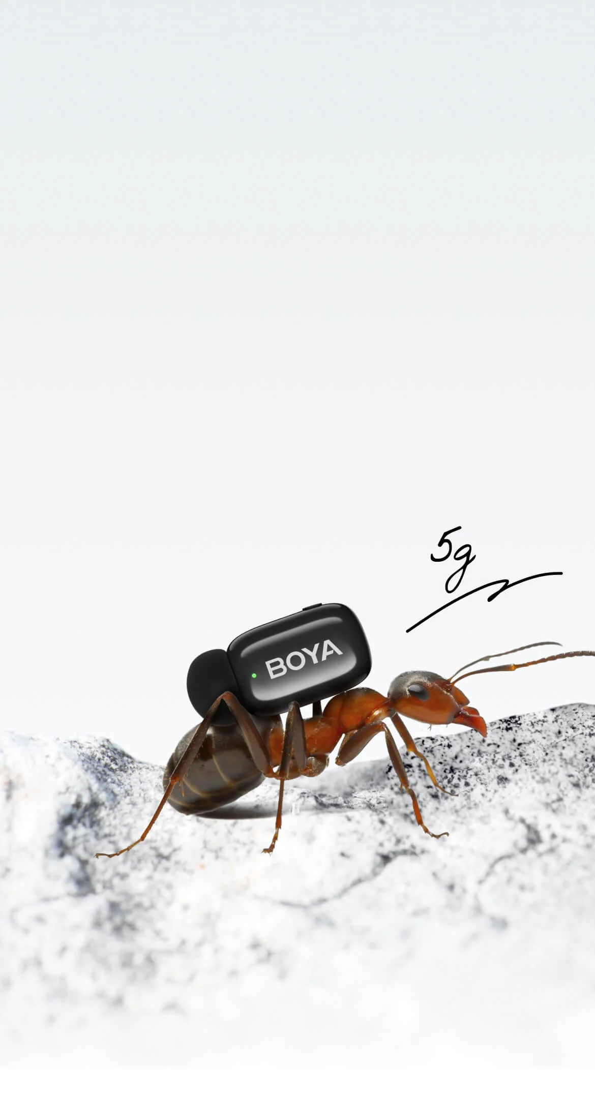 Dive into the Mini